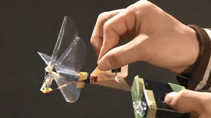 バイオミメティクス 生物模倣が拓く未来