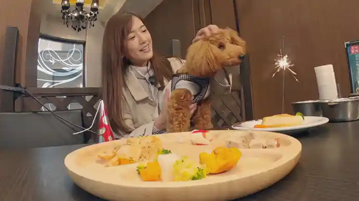 新番組スタート