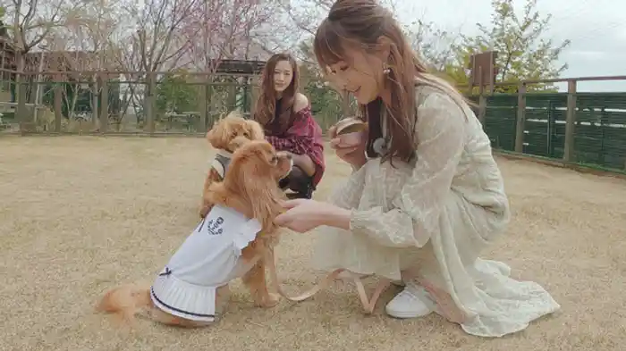 ゲスト吉沢明歩&チャコ