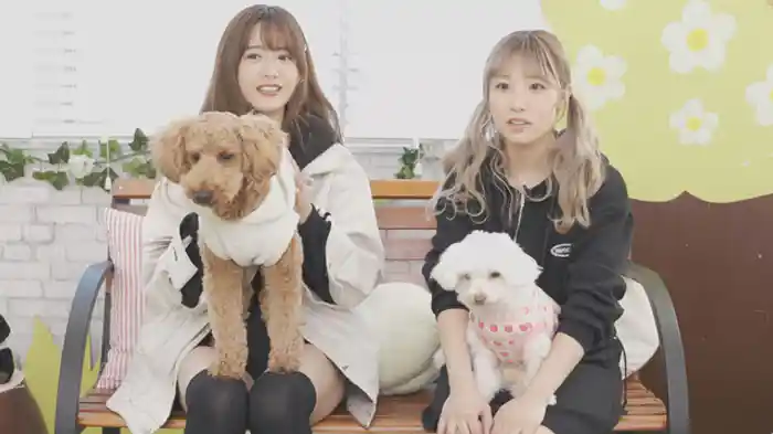 ゲスト栄川乃亜&ミミ