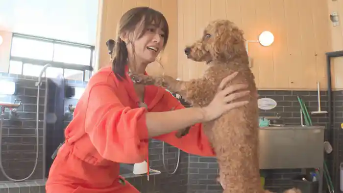 お台場編