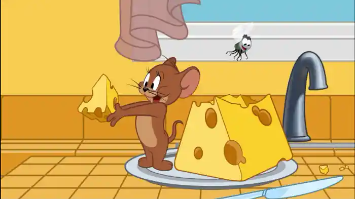 ネコと野獣/チーズ大合戦/大切な宝もの