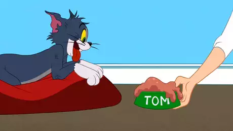 ダイエットは甘くない/トムのお泊り/お嬢様ネコにご用心