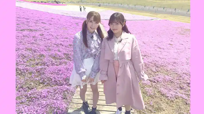 キャワいい芝桜でインスタ映え＆たけのこ狩り体験