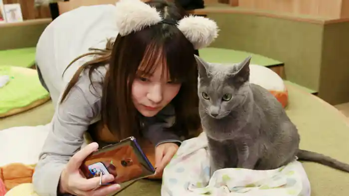 猫カフェで癒されよう ゲスト紺野ひかる