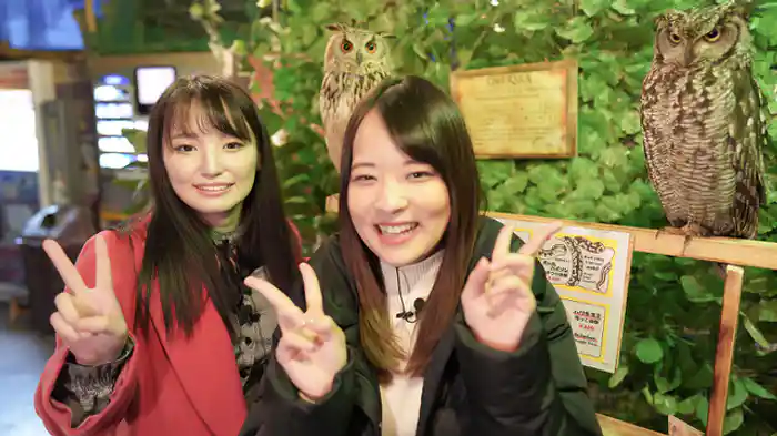 ふくろうカフェで癒されよう　ゲスト野々原なずな