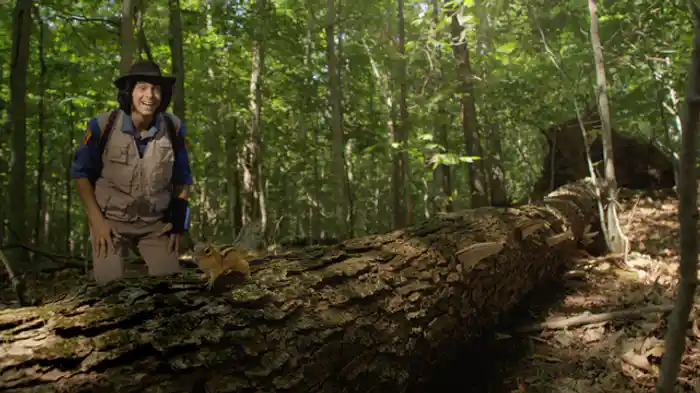 シマリスの大好物