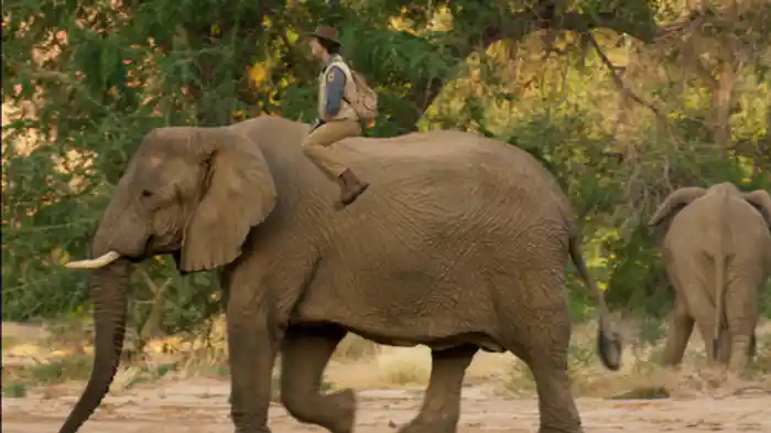 サケイの水くみ