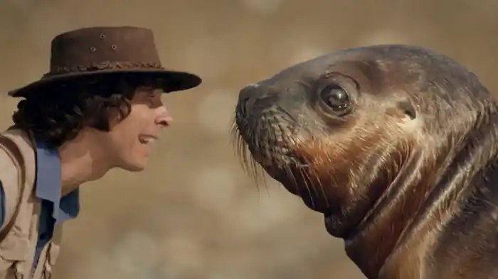 アシカのご飯を大調査