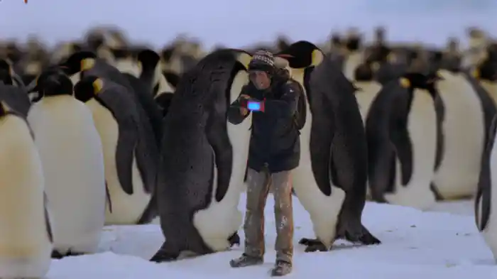 コウテイペンギンのあたたまるコツ