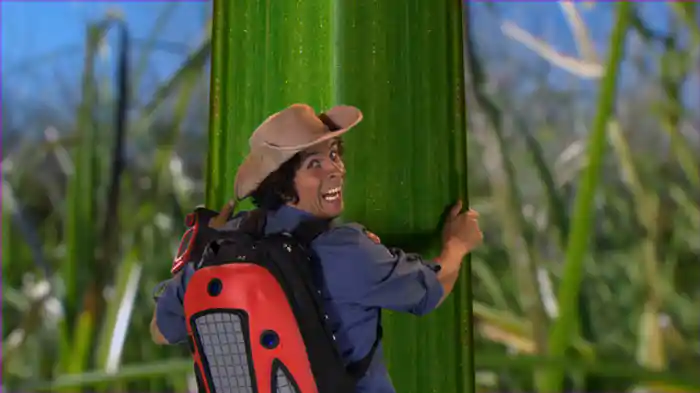 ハキリアリのチームワーク