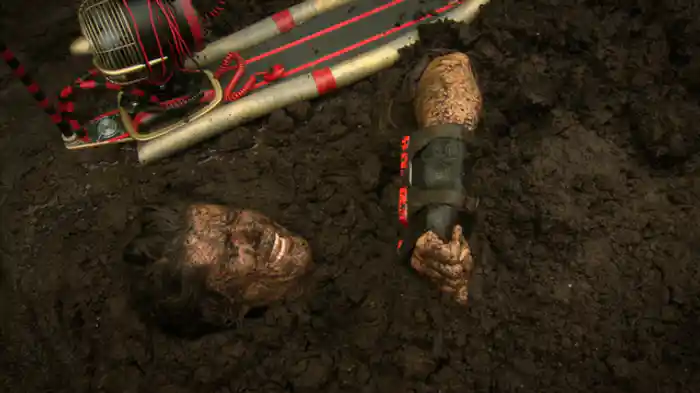 フラミンゴと泥んこ