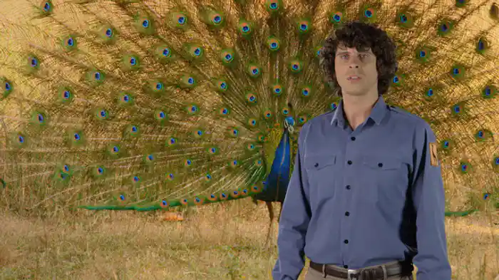 気持ちの伝え方