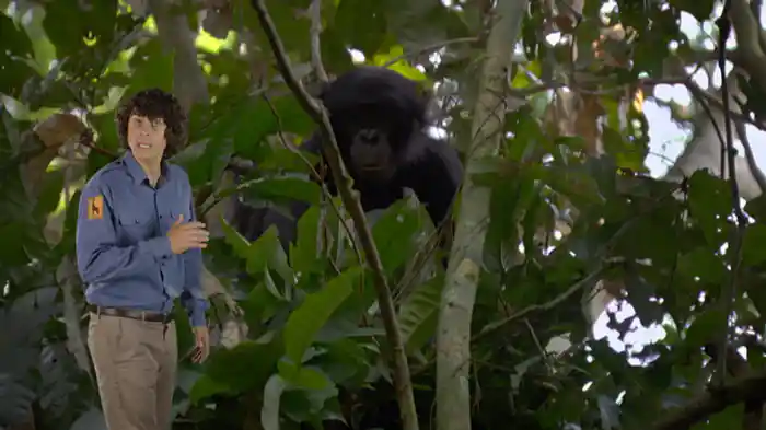 のぼるのが上手な動物