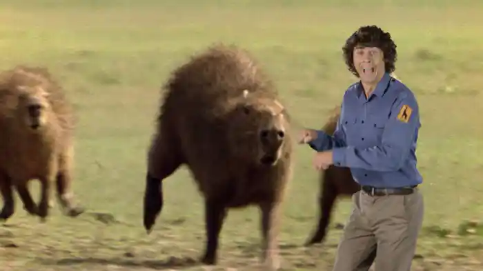 強い歯を持つ動物