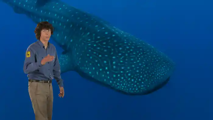 動物の意外な姿