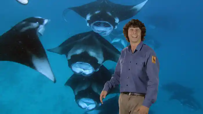 ゆっくり動く動物