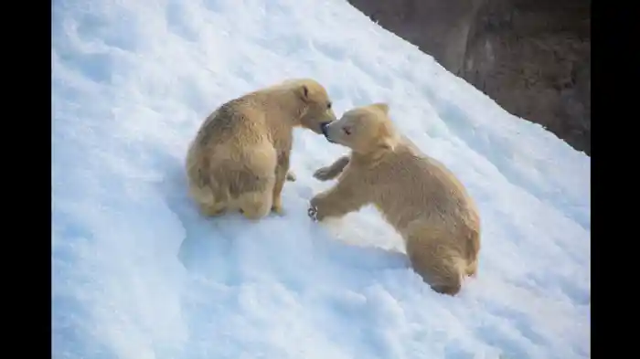 赤ちゃんが歩くまで