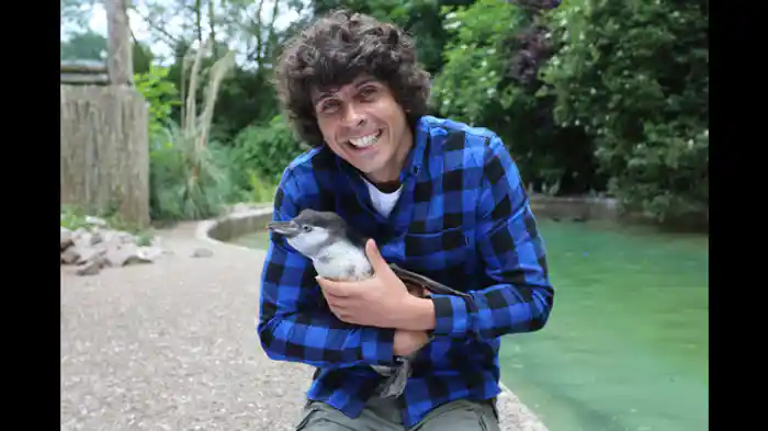 スイスイ泳ごう