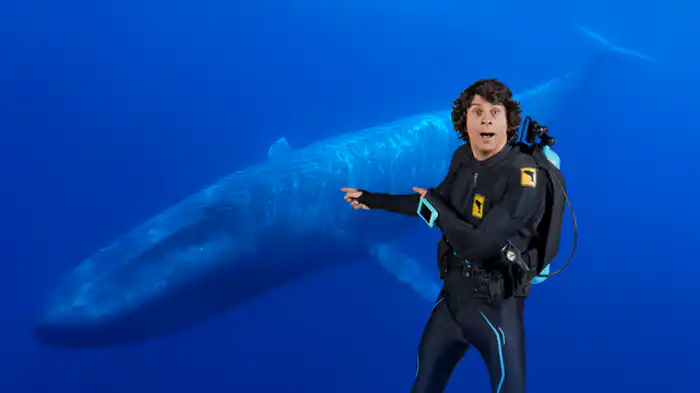 シロナガスクジラと大冒険
