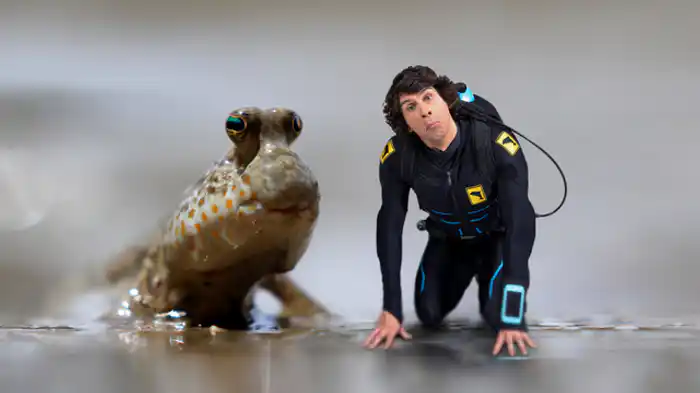 トビハゼにピッタリな泥