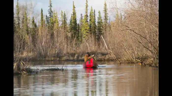 待ちわびた帰宅