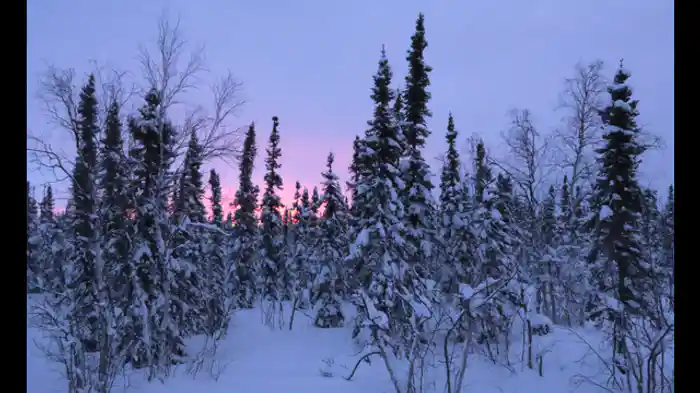 すべてが凍りつく