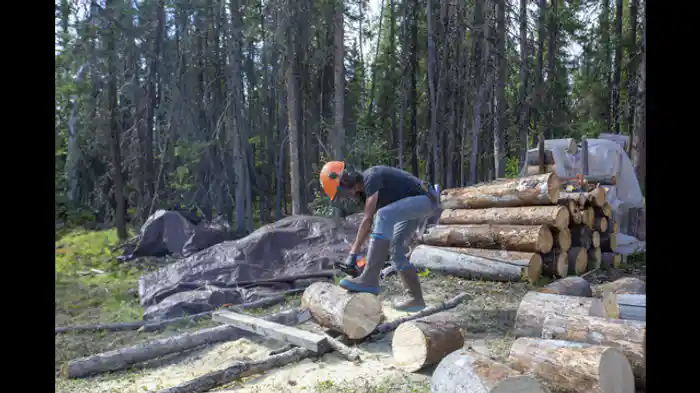 削ぎ落した生活