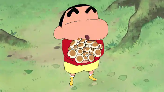 キノコ狩りへ行くゾ