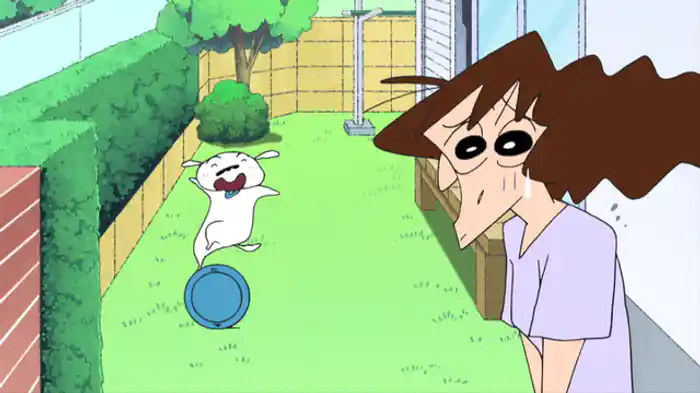 シロの一日だゾ