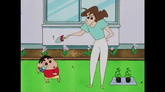 ピーマンを育てるゾ