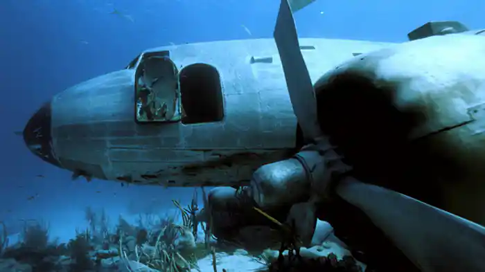 バミューダ・トライアングル