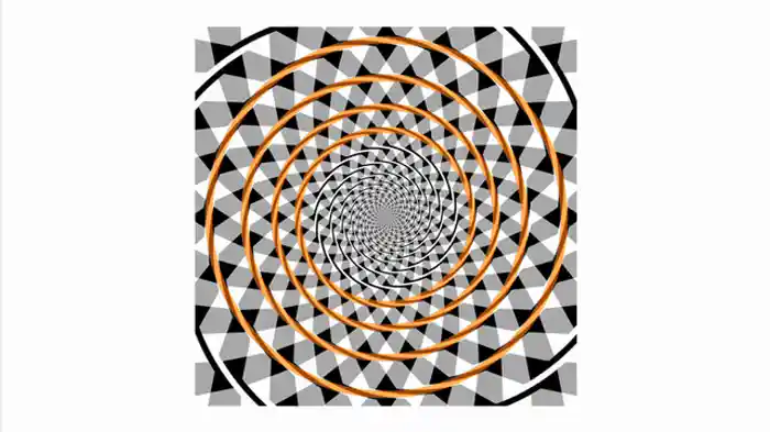 なぜ脳はだまされるのか？「錯覚」から見える脳の戦略