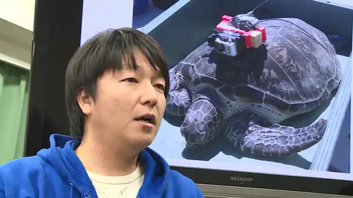 動物が自分を記録する!?バイオロギングの世界