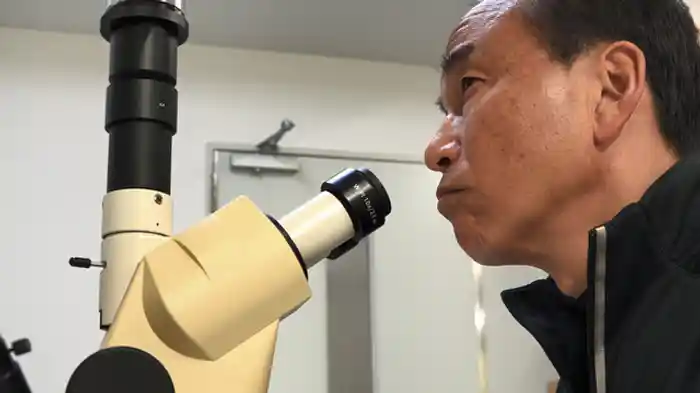 人間は再生できるか?生物から見えた形作りの秘密