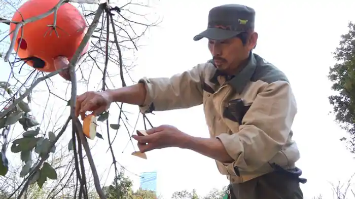 動物も楽しい動物園 環境エンリッチメントの試み