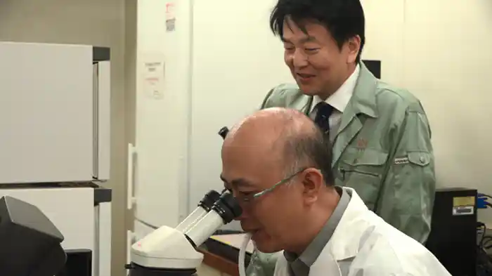 ゲノム編集 品種改良を加速させる新技術