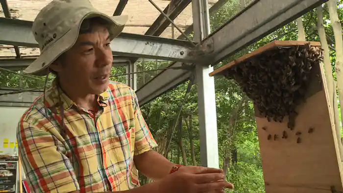 女王様と呼ばないで!虫には虫の“社会”がある?