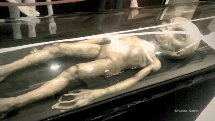 宇宙人ハイル？“ドレイクの方程式”は語る