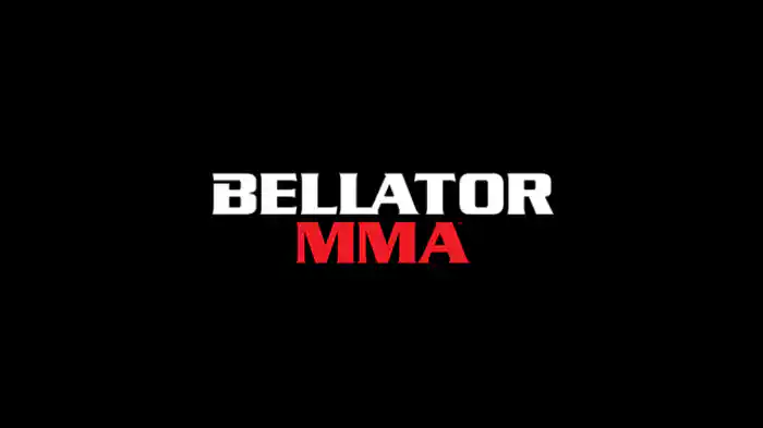 BELLATOR 264 ダヴィオン・フランクリン VS. エヴェレット・カミングス