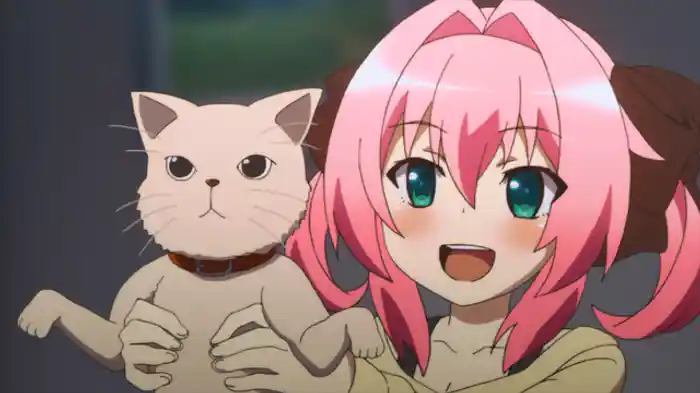 「ネコネコメランコリック」