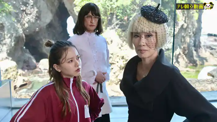 さらば…ミタゾノ!!800億円争奪!!家族でゲソゲーム