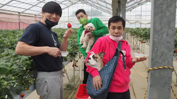 「ワンちゃんと軽キャンピングカーの旅」第2話