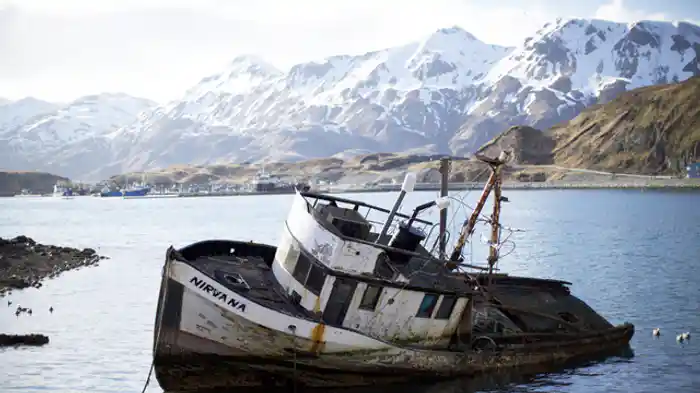 ロシアン・ルーレット