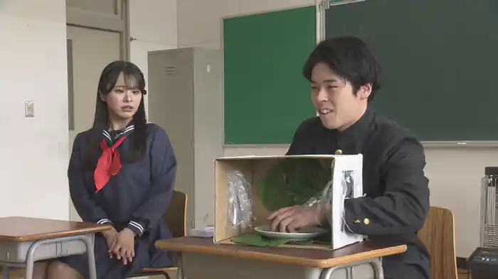 顔見世興行場所