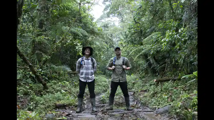 クモの糸は鉄より強いってホント？