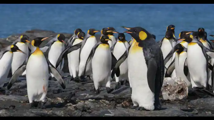 北極圏と南極圏