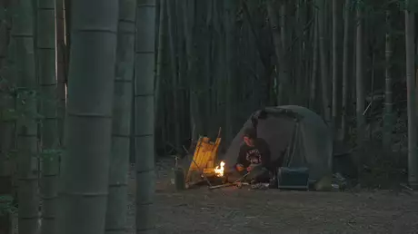 ヒロシの竹林キャンプ