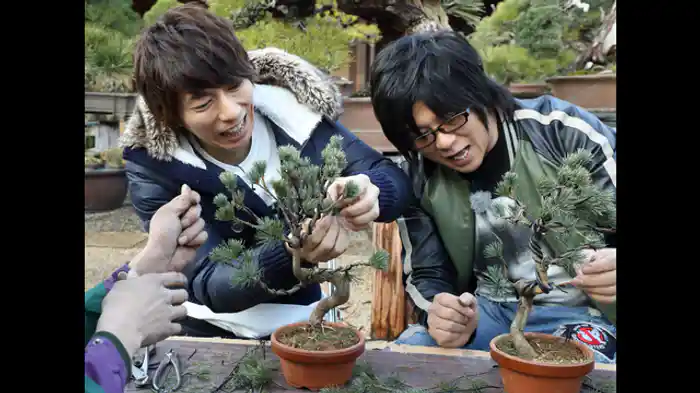 続・森川さんの楽しい盆栽講座