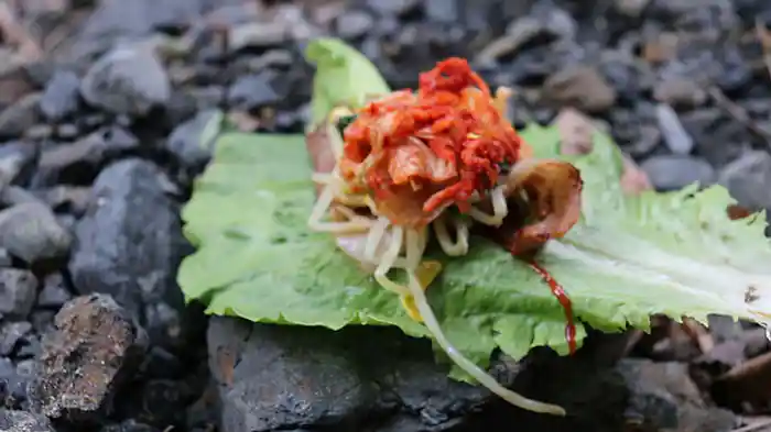 「俺の山を見せてやる!」ヒロシがセルフプロデュースキャンプを披露